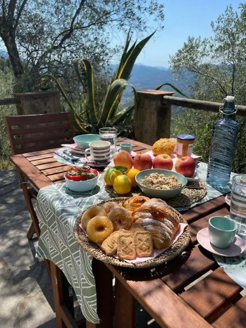 Holiday home La Ghiandaia Monteggiori Villa Culla