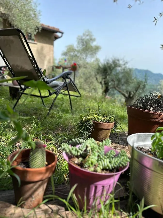 La Ghiandaia Monteggiori Villa Culla Italy