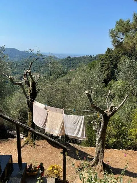 La Ghiandaia Monteggiori Villa Culla Italy
