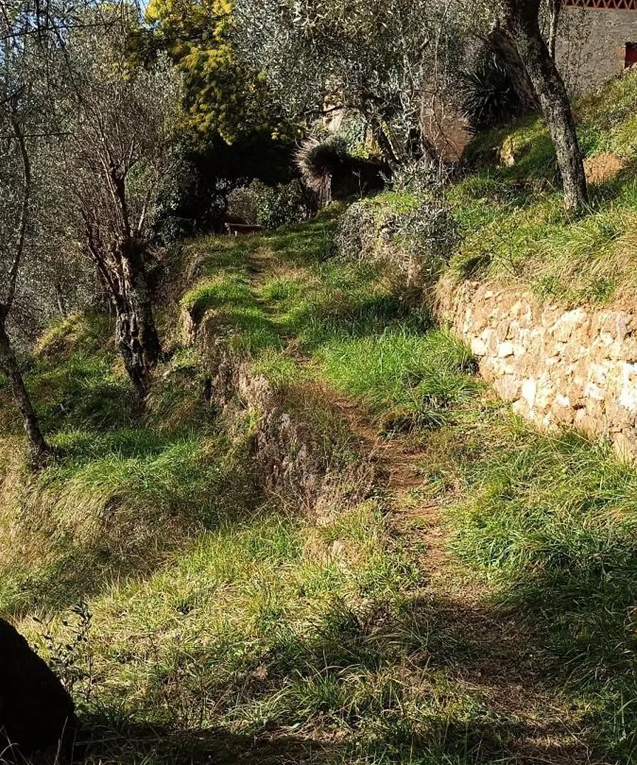 La Ghiandaia Monteggiori Villa Culla Holiday home