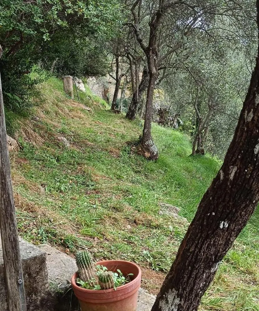 Holiday home La Ghiandaia Monteggiori Villa Culla