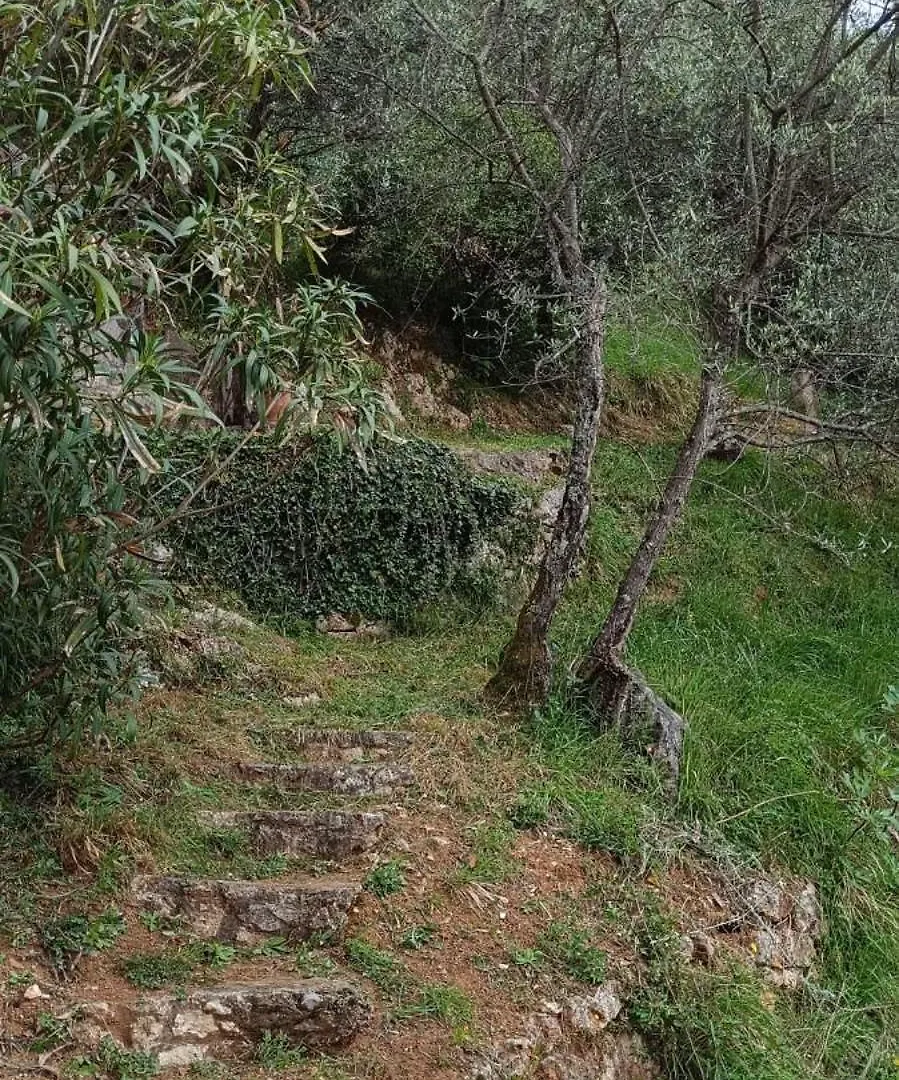 La Ghiandaia Monteggiori Villa Culla 0*,